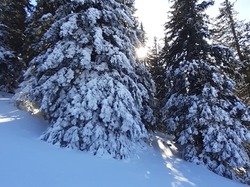 Séjour raquettes CDRP28