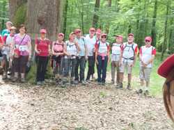 Senonches (arbres remarquables)