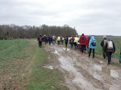 Sours rando des 20 ans 1/2