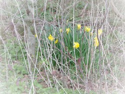 Sours rando des 20 ans 1/2