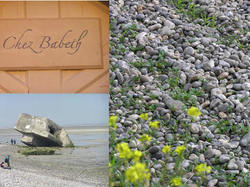 Souvenirs de la Somme