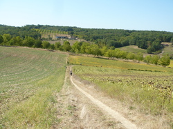 Sur les chemins de St Jacques...