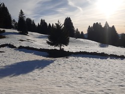 Séjour raquettes CDRP28