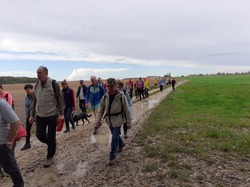 Téléthon Nogent-le-Phaye