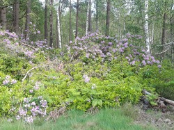 Week-end Sologne J 2