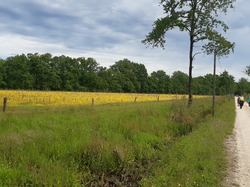 Week-end Sologne J 3